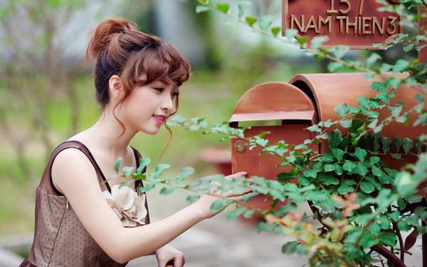 序列神碑小说叶辰叶枫(已完结全集完整版大结局)叶辰叶枫小说全文阅读笔趣阁